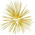 20 years of crystal growth, production and manufacturing! 20 years of crystal growth, production and manufacturing!